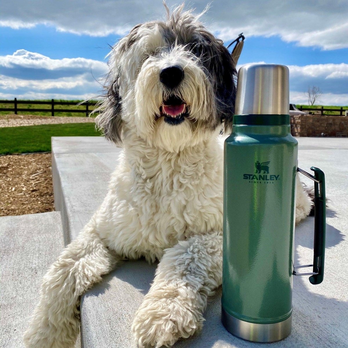 STANLEY CLASSIC LEGENDARY THERMOS 1L - Termos Türkiye - Termos