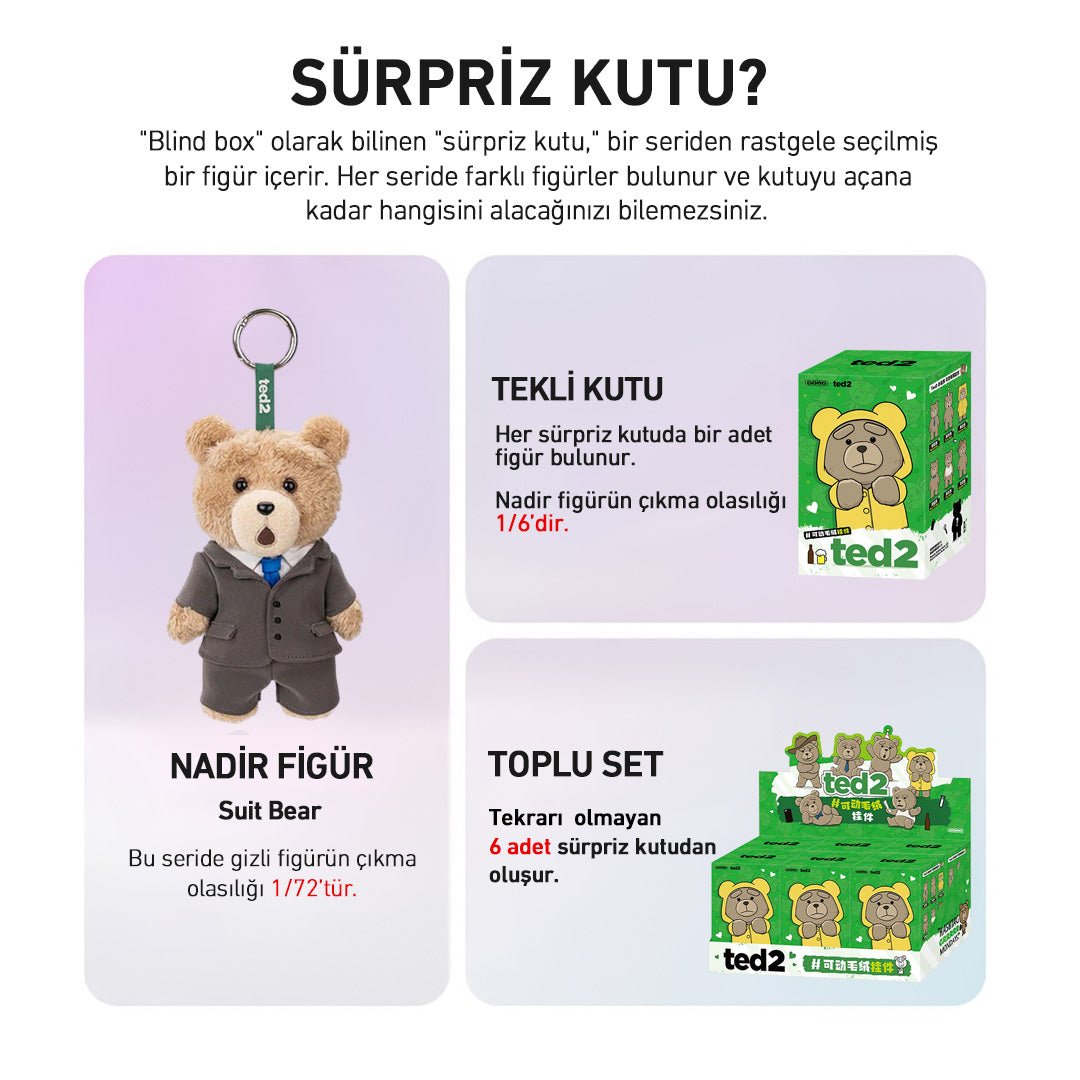 POP MART TED2 TEDDY BEAR ACTION SÜRPRİZ KUTU SERİSİ - Termos Türkiye - 
